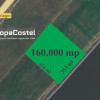Snagov langa A3 teren intravilan 20.150 mp - 160.000 mp, curent si astfalt thumb 3