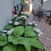 Sos. Viilor - in spatele spit. Marius Nasta casa 4 camere, toate utilitatile thumb 10