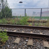 Otopeni langa linia de centura teren intravilan 1400 mp, deschidere 22 ml thumb 6