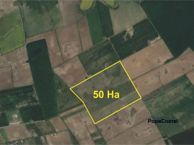 Balotesti - Ilfov 50 hectare teren extravilan agricol, investitie sigura